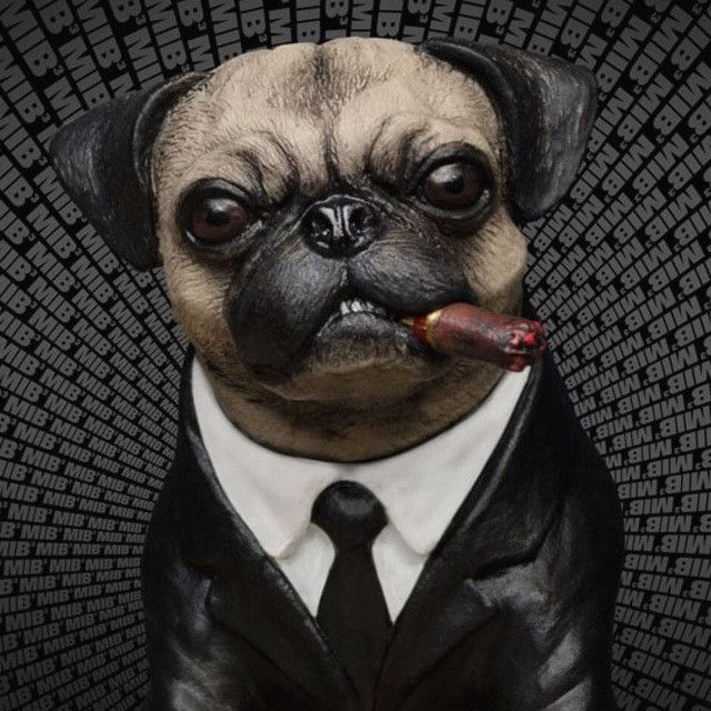 П.Э.С. (@pesetcetera) • Посты и статистика канала Telegram