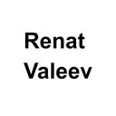 Аватарка канала @renat_vv