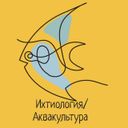 Аватарка канала @dialogsfish