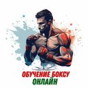Аватарка канала @school_boks_online