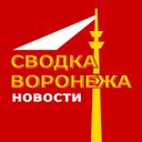 Аватарка канала @SvodkaVoronezha
