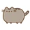 Фото автора Pusheen Corp.