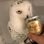 Логотип Alexey Yowl