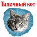 Набор стикеров «Мемы с котом»