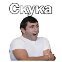 Набор стикеров «Бриллиантовая рука»