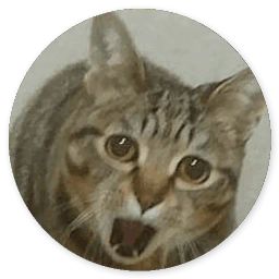 Сломанная кошка