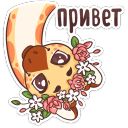 Набор стикеров «Кокосик»