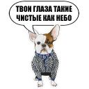 Набор стикеров «Богемные пёсики»