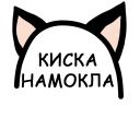 Набор стикеров «Феми-стикеры»