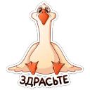 Набор стикеров «Гусь Федька»