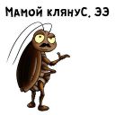 Набор стикеров «Таракашки»